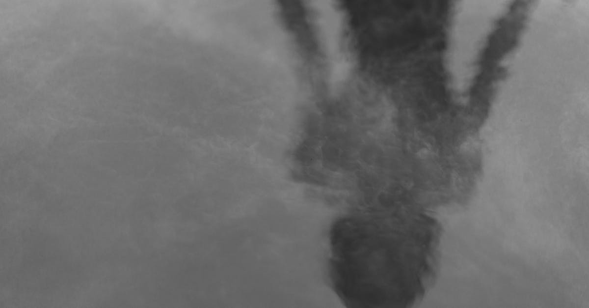 Mysterious black and white silhouette reflection on water surface.