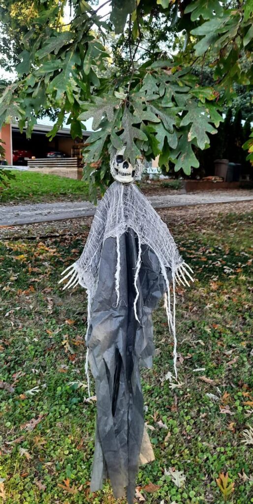 hollowing 6