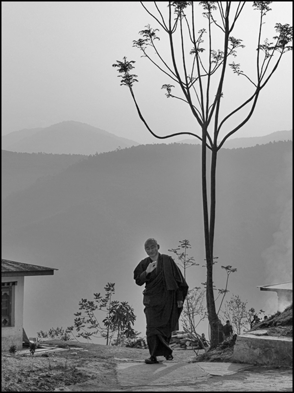 the monk.jpg