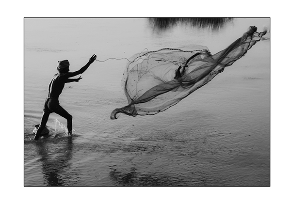 the life 01