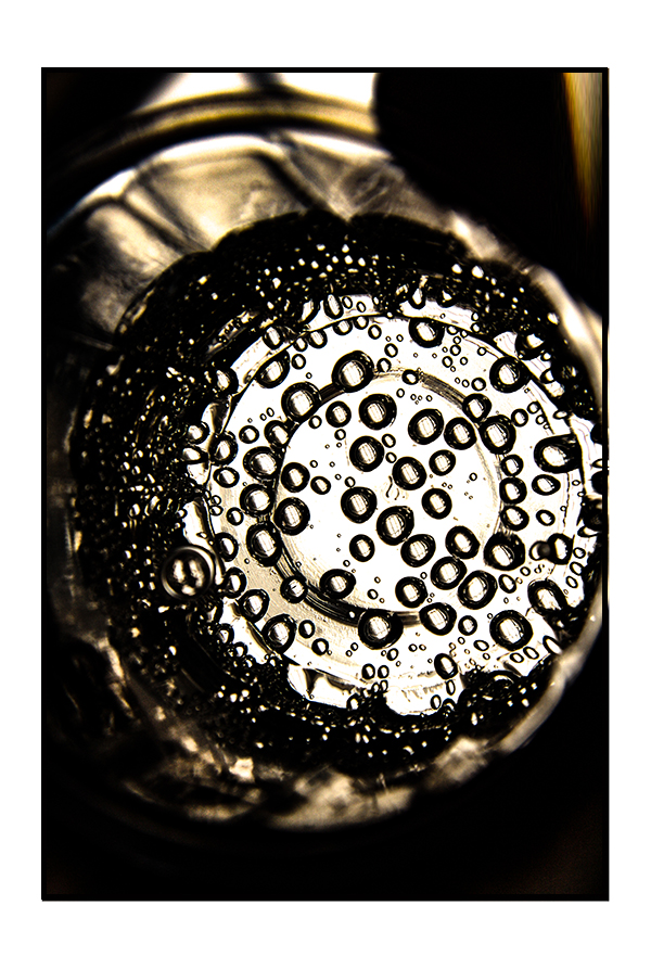 the life 04