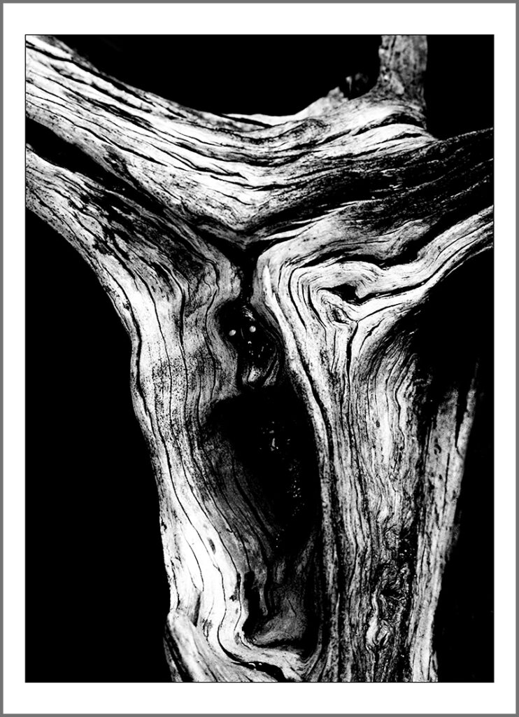 as i saw (1)
