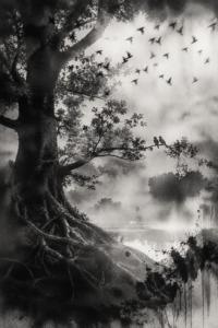 কমলিকা ভট্টাচার্যের তিনটি কবিতা